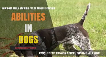 Early Growing Fields: Impact on Diminished Scenting Skills in Dogs