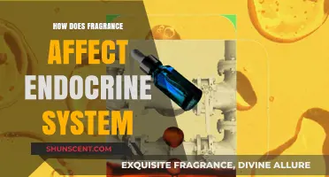 The Scent of Hormones: Exploring Fragrance's Impact on the Endocrine System