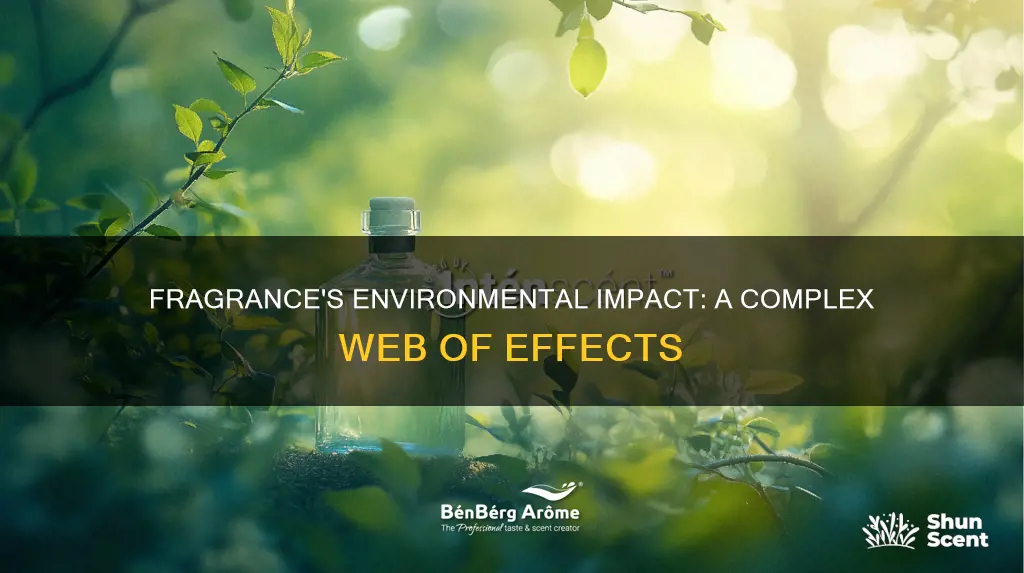 how does fragrance affect the environment