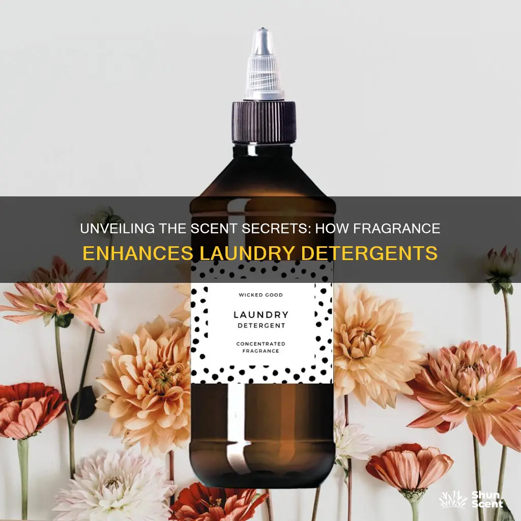 how does fragrance in laundry detergent work