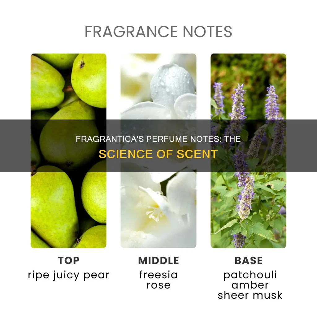 how does fragrantica determine perfume notes