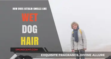 Unraveling the Mystery: Why Getalin Smells Like Wet Dog Hair