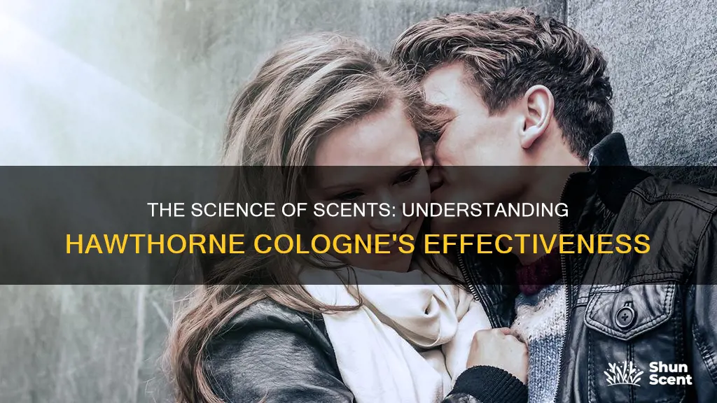 how does hawthorne cologne work