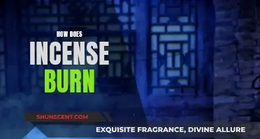 Incense Burning: A Step-by-Step Guide to the Process