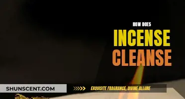 Incense Cleansing: Purifying Power of Scents