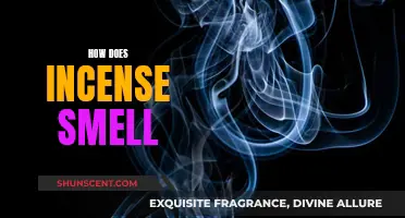 Incense Aromas: A Guide to Fragrances and Scents