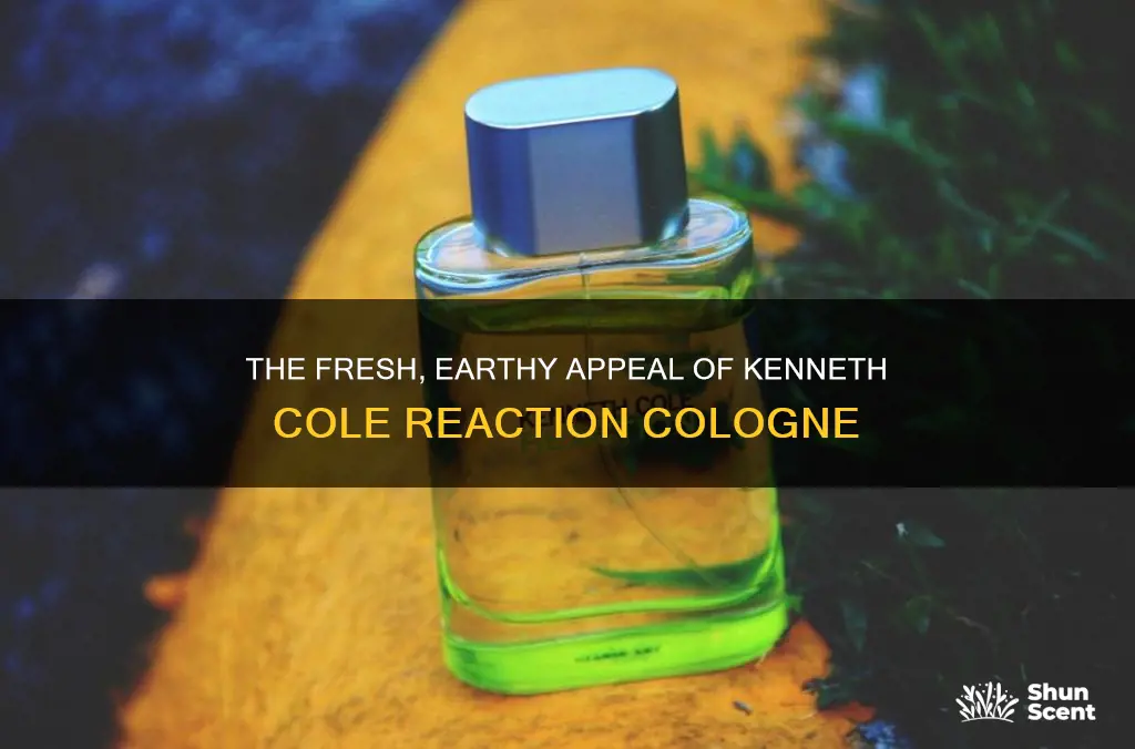 how does kenneth cole green reaction cologne look