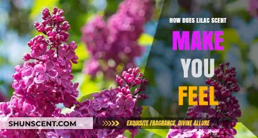 The Soothing Lilac Scent: Unlocking Emotions and Memories