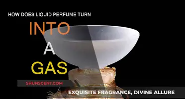 The Magic of Perfume: Liquid to Air