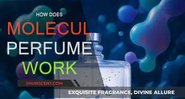 Molecule Perfume: How Does It Work?