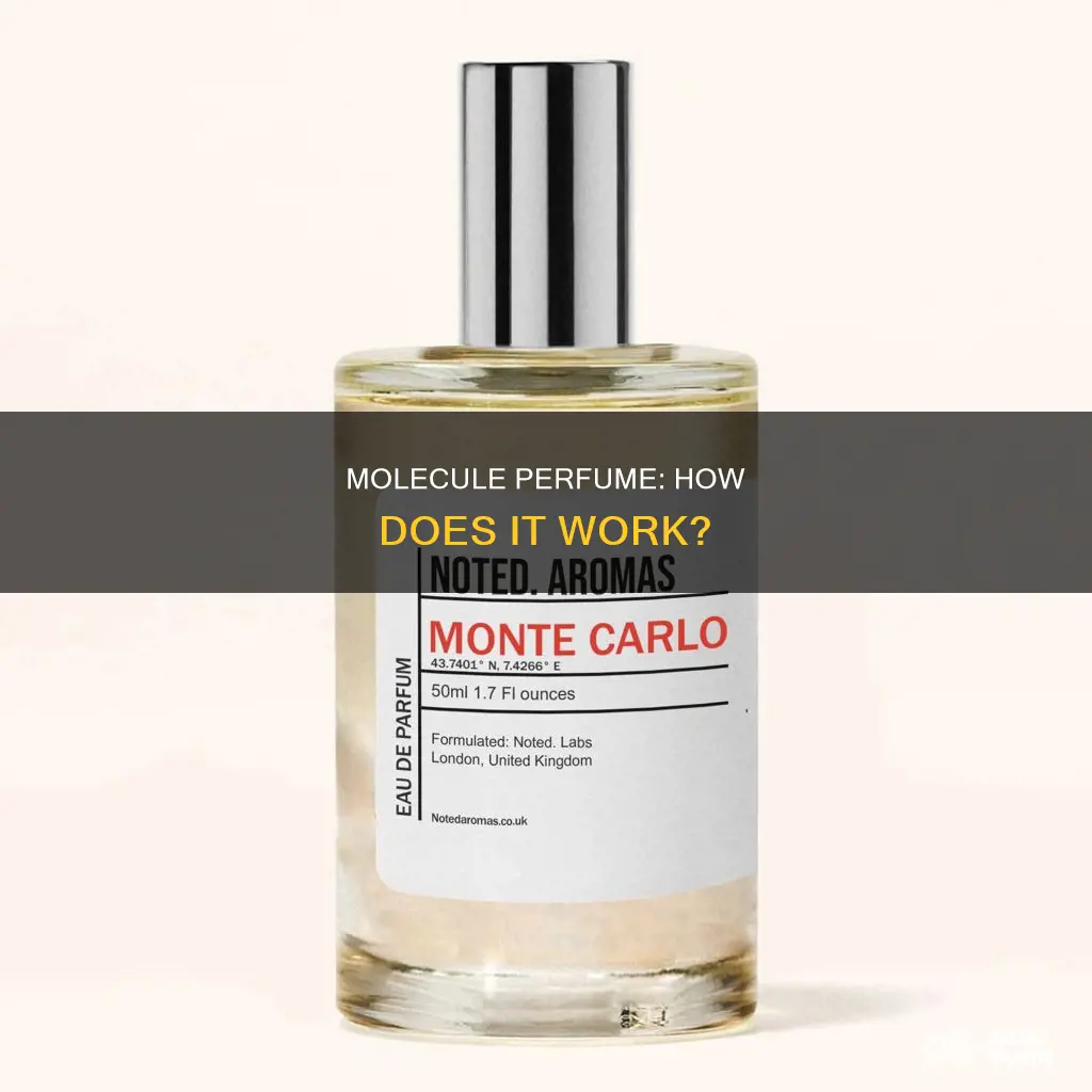 how does molecule perfume work