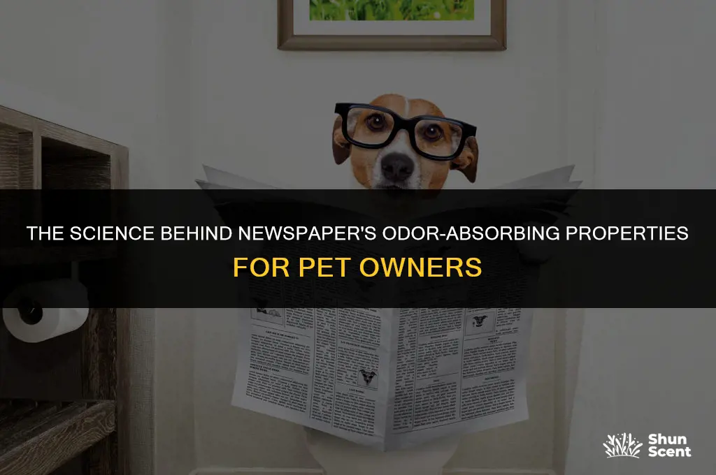how does newspaper absorb the smell of dog pee