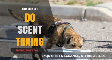 Mastering Scent Training: Techniques and Tips for Effective Olfactory Learning