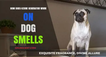 Neutralizing Dog Odors: The Science Behind Ozone Generators