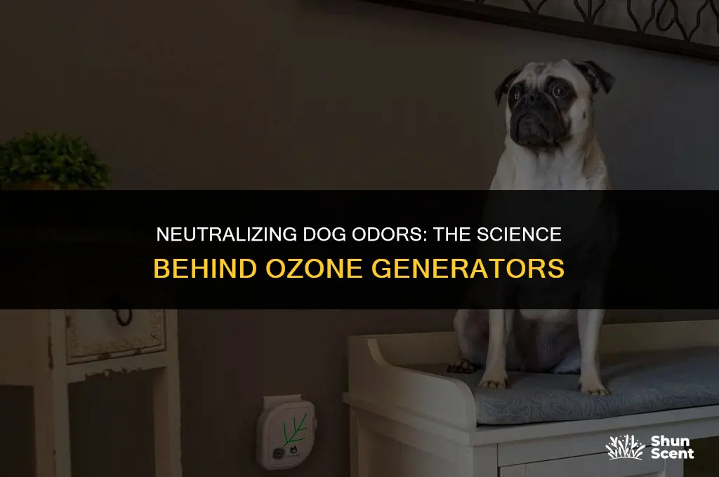 how does ozone generator work on dog smells