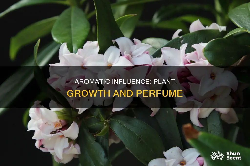how does perfume affect plant growth