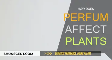 Perfume's Impact: Do Scents Affect Plant Growth?