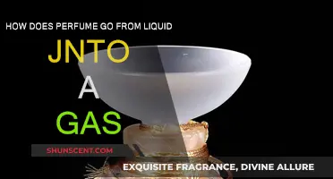The Magic of Perfume: Liquid to Gas