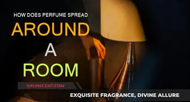 The Mystery of Perfume Diffusion in a Room