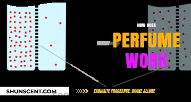 The Science of Smell: How Does Perfume Work?