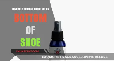Why Your Shoes Pick Up Personal Scents: The Surprising Science Explained