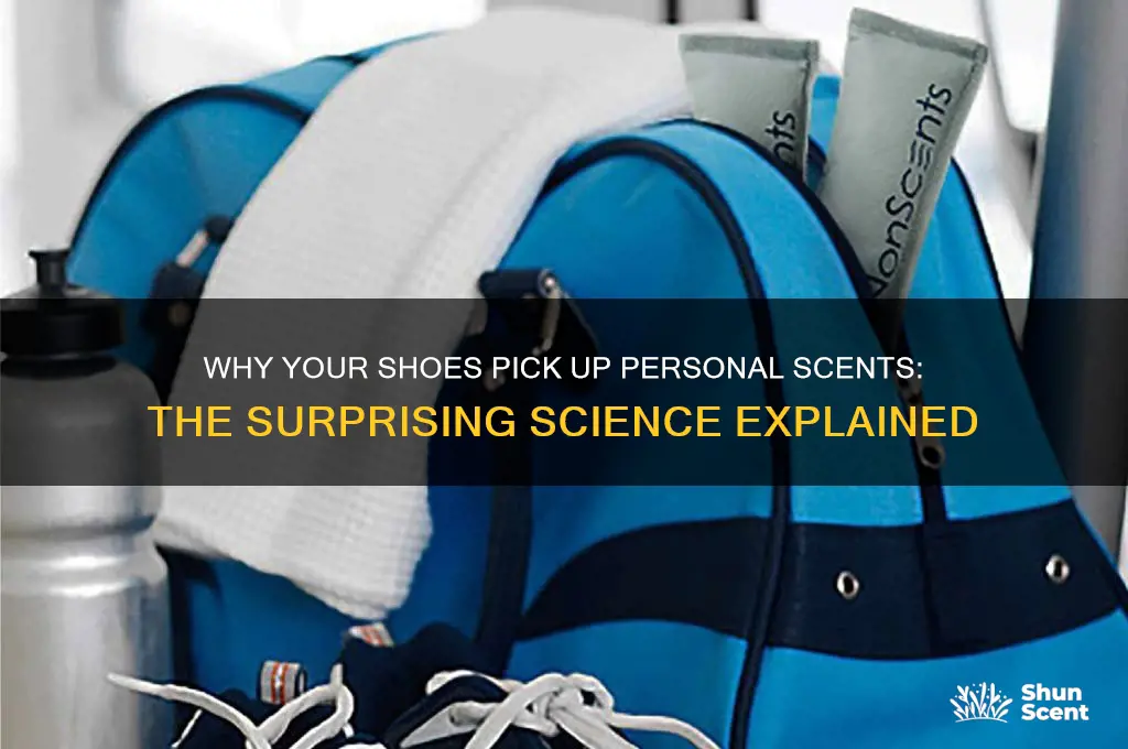 how does persons scent get on bottom of shoe