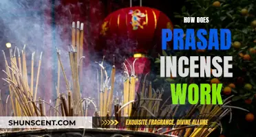 The Magic of Prasad Incense: How Does It Work?