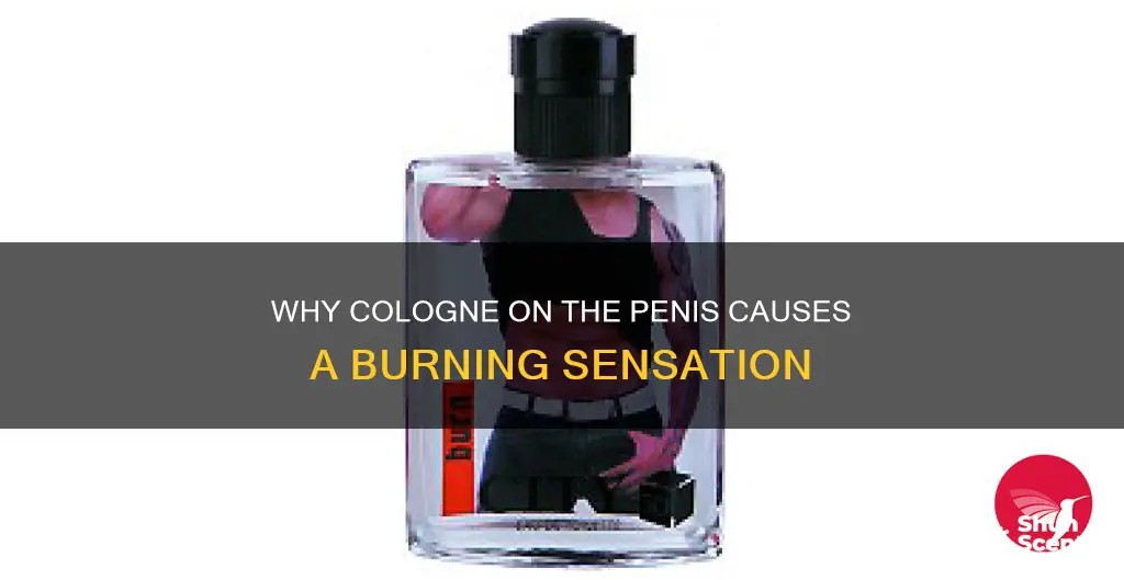 how does putting cologne on ur penis make it burn