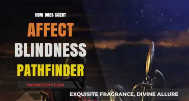 Scent Ability in Pathfinder: Navigating Blindness Through Olfactory Perception
