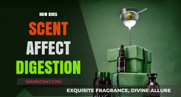The Surprising Link Between Scent and Digestion: Unlocking Aromatic Secrets