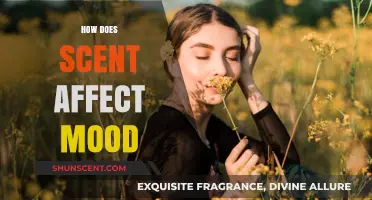 The Power of Scent: How Aromas Influence Mood and Emotions