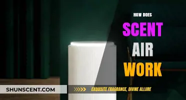 Understanding Scent Air: How This Innovative Technology Diffuses Fragrances