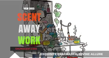 Unveiling Scent Away: How This Odor-Neutralizing Technology Works