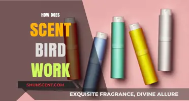 Explore Scents with ScentBird: How It Works