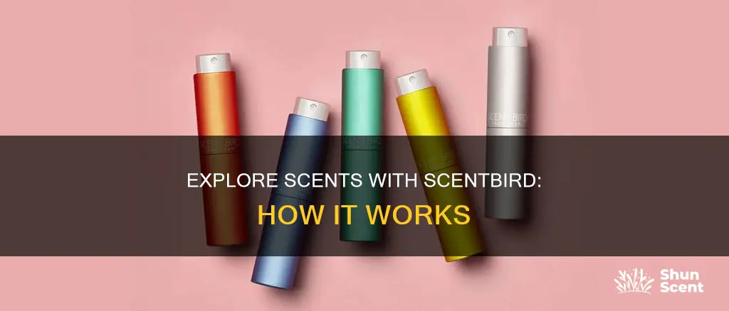 how does scent bird work