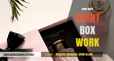 Discover How Scent Box Delivers Personalized Fragrances Monthly