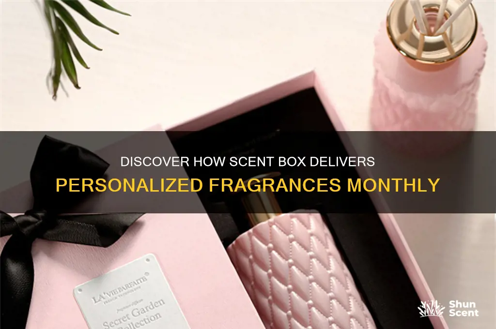 how does scent box work