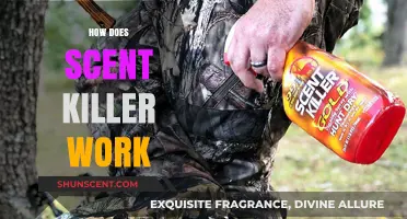 Unveiling Scent Killer: How It Eliminates Human Odor for Hunting Success