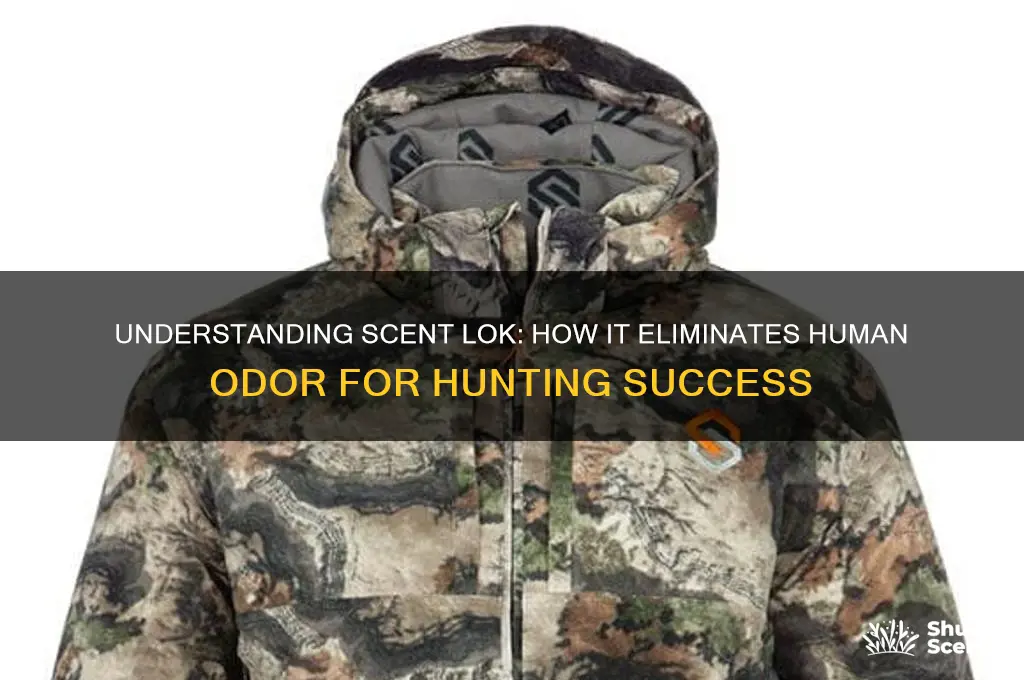 how does scent lok work