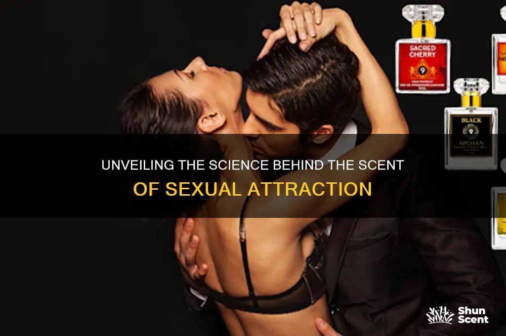 how does scent of sex work