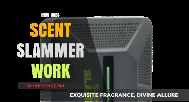 Understanding Scent Slammer: How This Innovative Technology Eliminates Odors Effectively