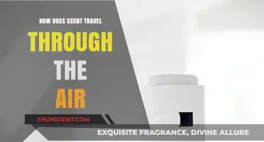 Unveiling the Invisible Journey: How Scents Travel Through Air