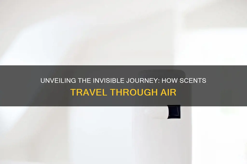 how does scent travel through the air