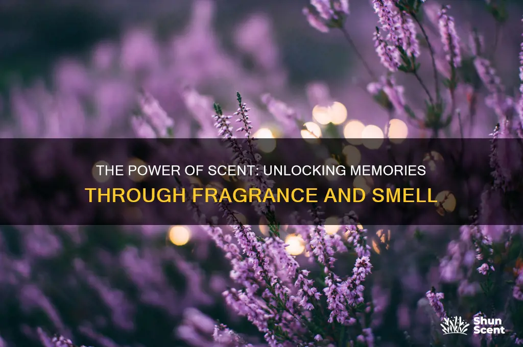 how does scent trigger memory