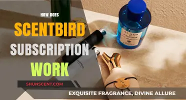 Scentbird Subscription: How Does It Work?