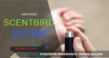 Scentbird: How Does the Subscription Work?