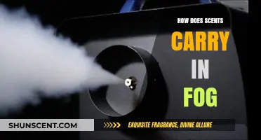 How Fog Enhances the Spread of Scents in the Air