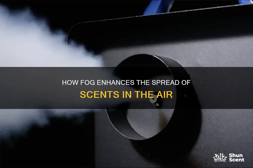 how does scents carry in fog