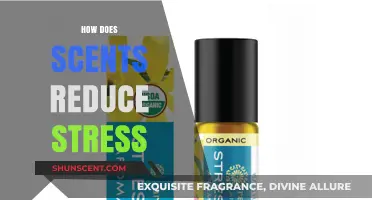 Aromatherapy's Power: How Scents Calm Mind and Reduce Stress