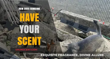 How Your Unique Scent Lingers and Imprints on Others